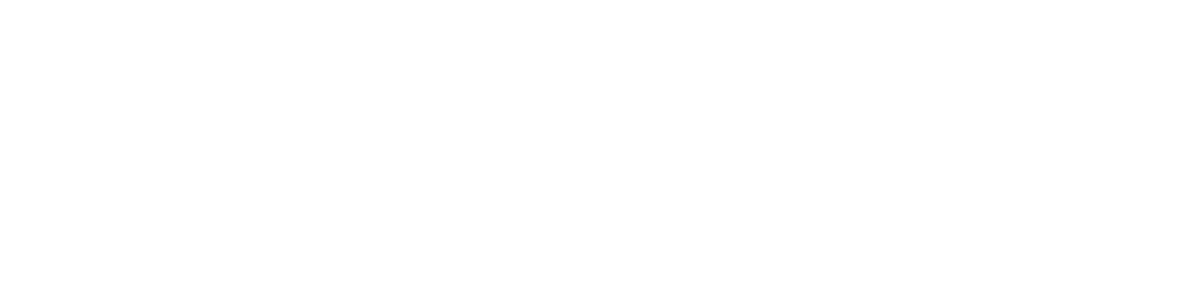 Establishment Labs