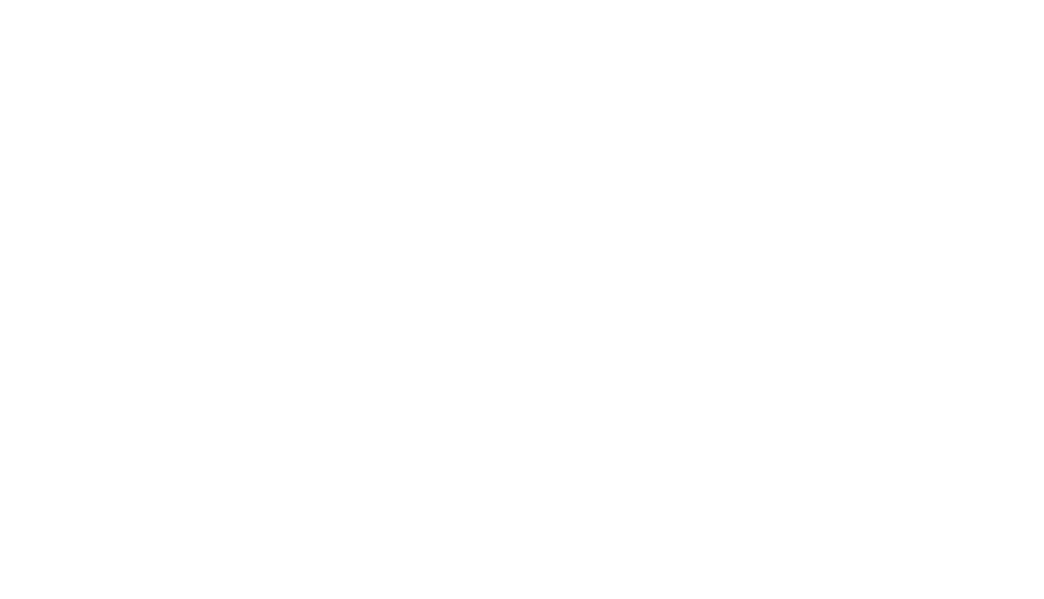 Third Factor